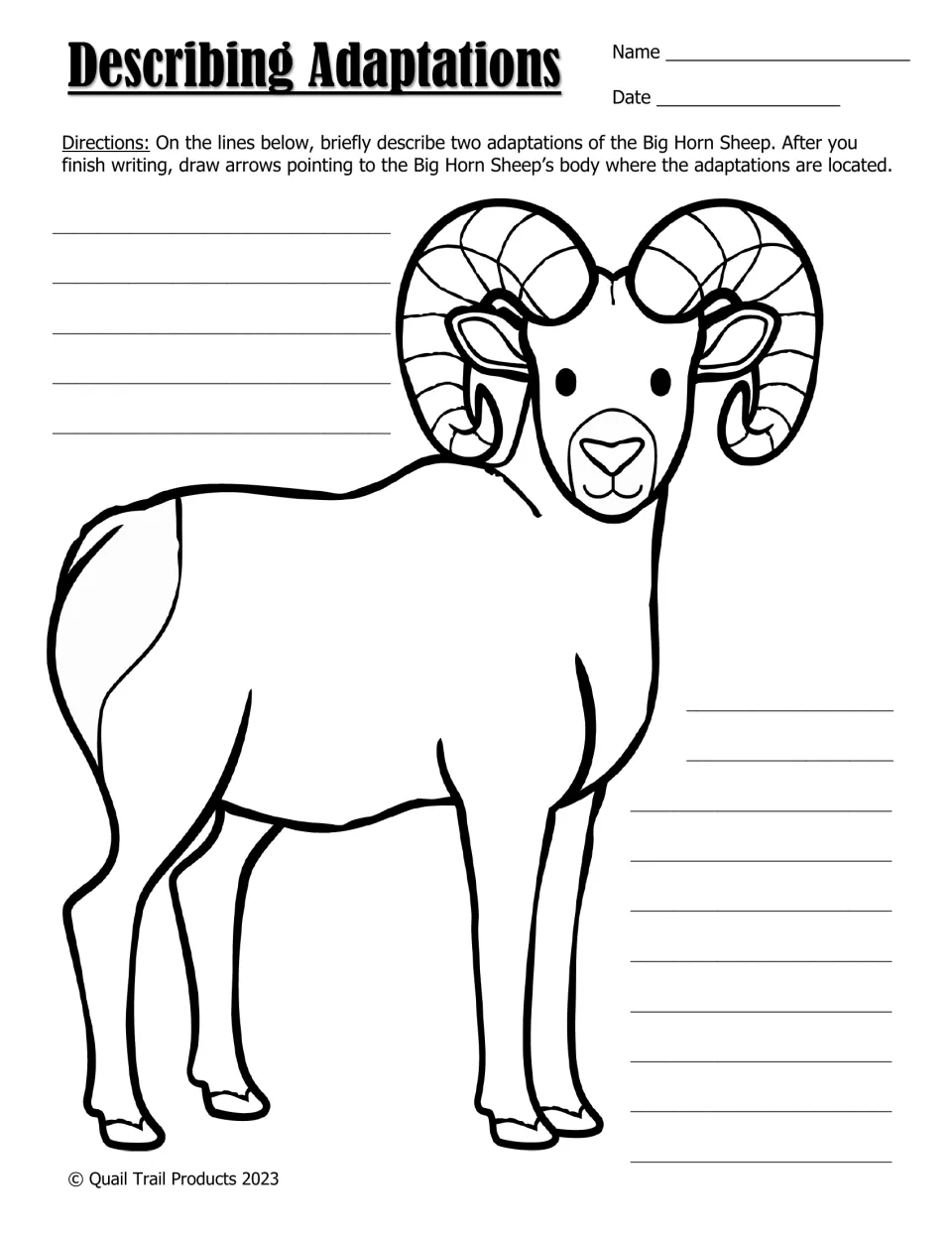 Describing adaptations: students write two Big Horn Sheep adaptations, then draw arrows to where they are on its body