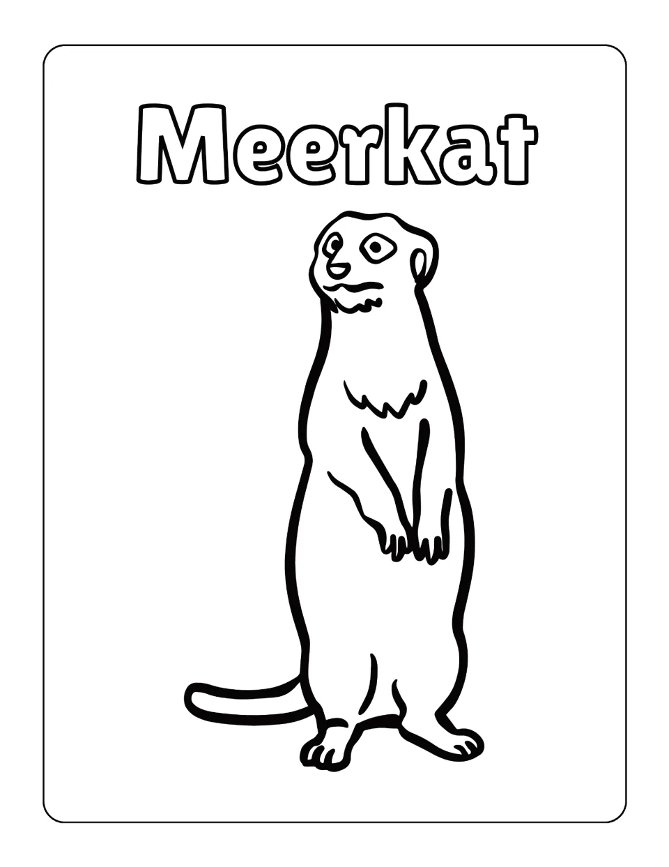Meerkat in bold outline: students colour a tall meerkat standing on alert with paws tucked and tail on the ground