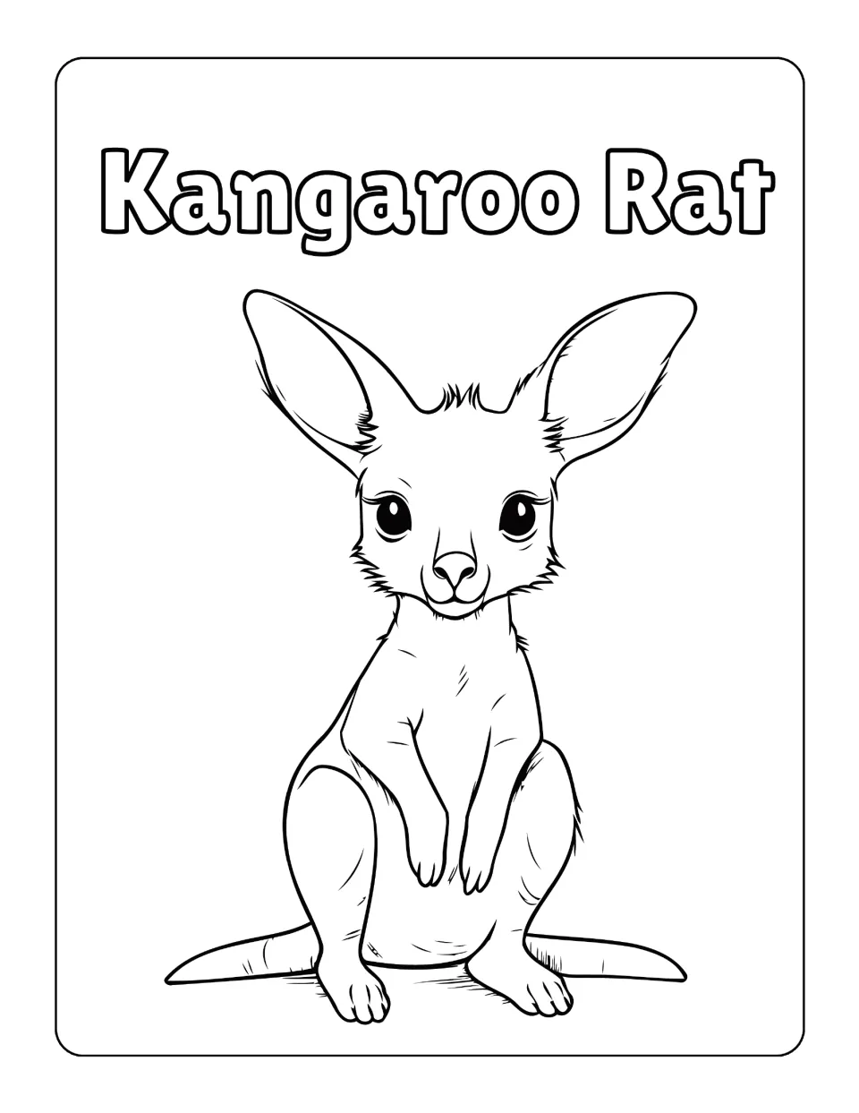Kangaroo rat, detailed style: students colour an upright animal with big rounded ears, small paws and a long tail