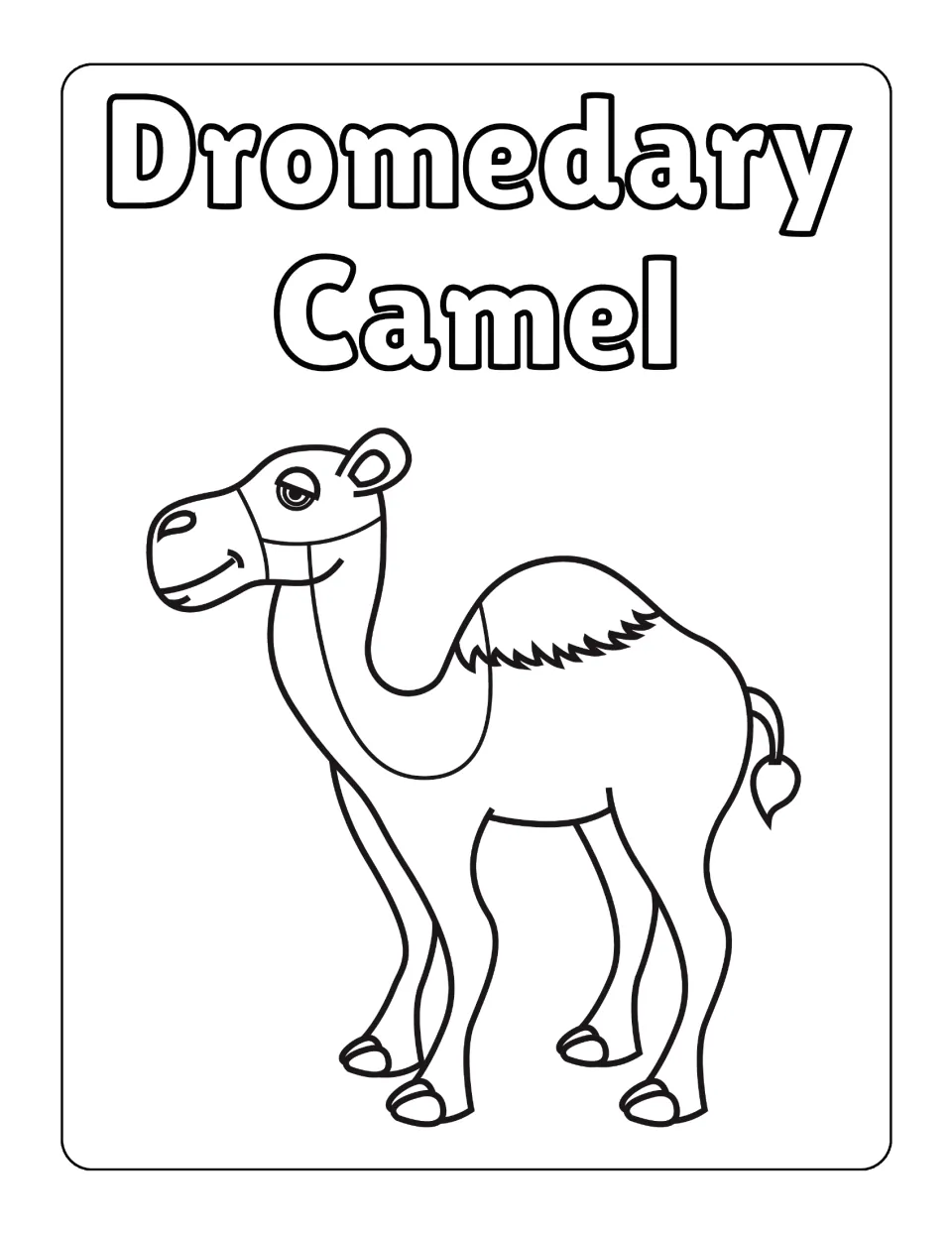 Dromedary camel in bold outline: students colour a smiling one-humped camel with a tufted tail and no background