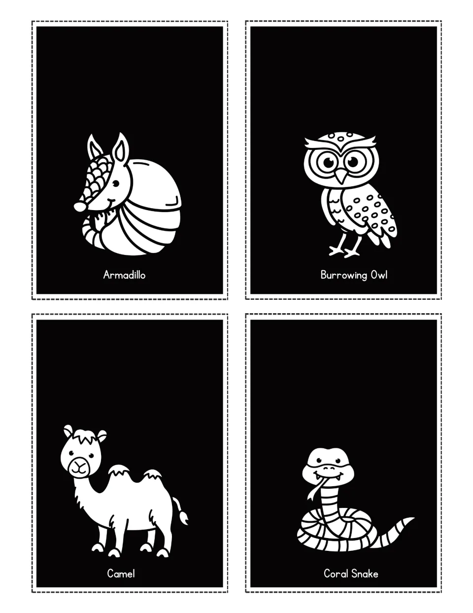 Desert animal flashlight cards labeled Armadillo, Burrowing Owl, Camel and Coral Snake, each with a picture
