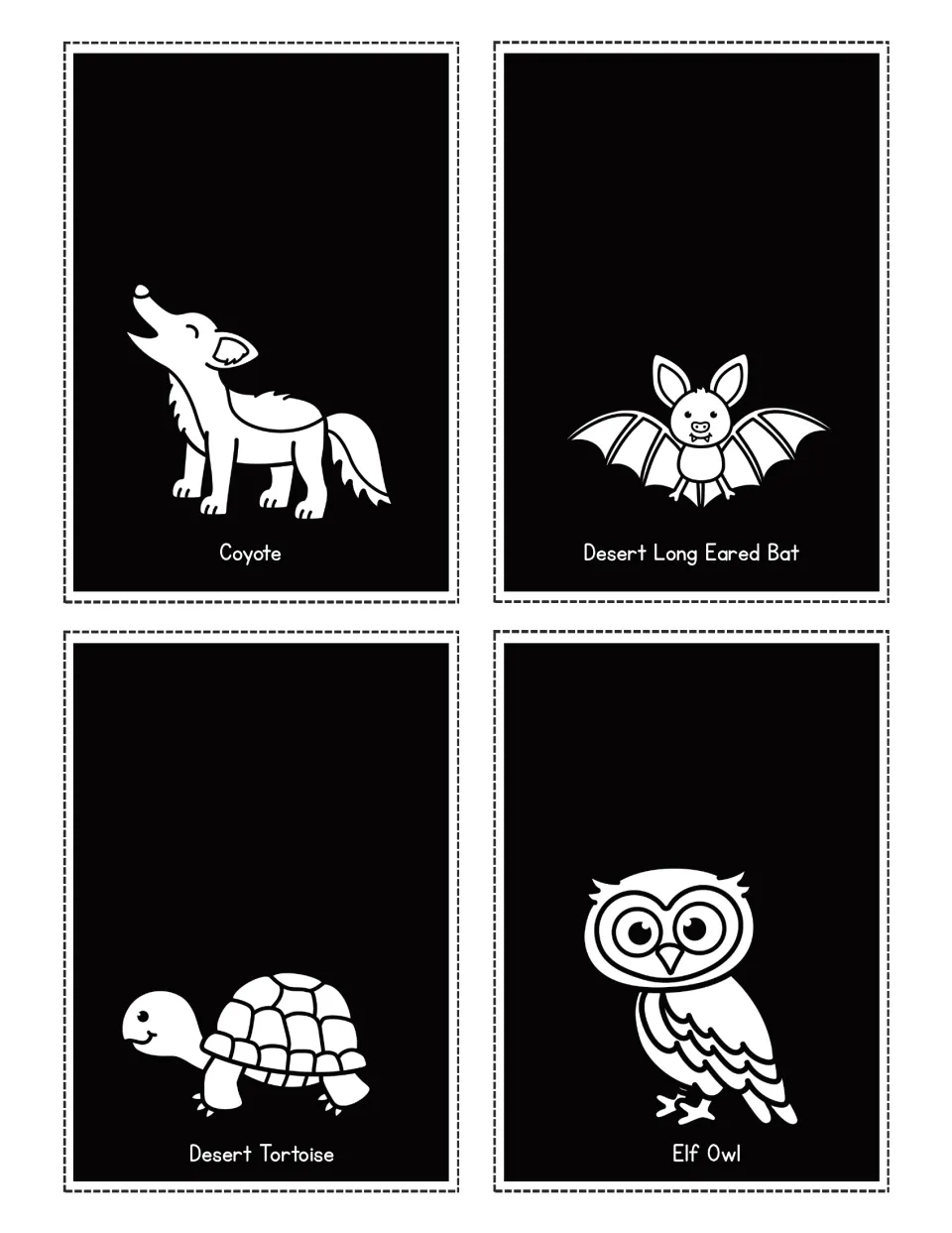 Desert animal flashlight cards labeled Coyote, Desert Long Eared Bat, Desert Tortoise and Elf Owl
