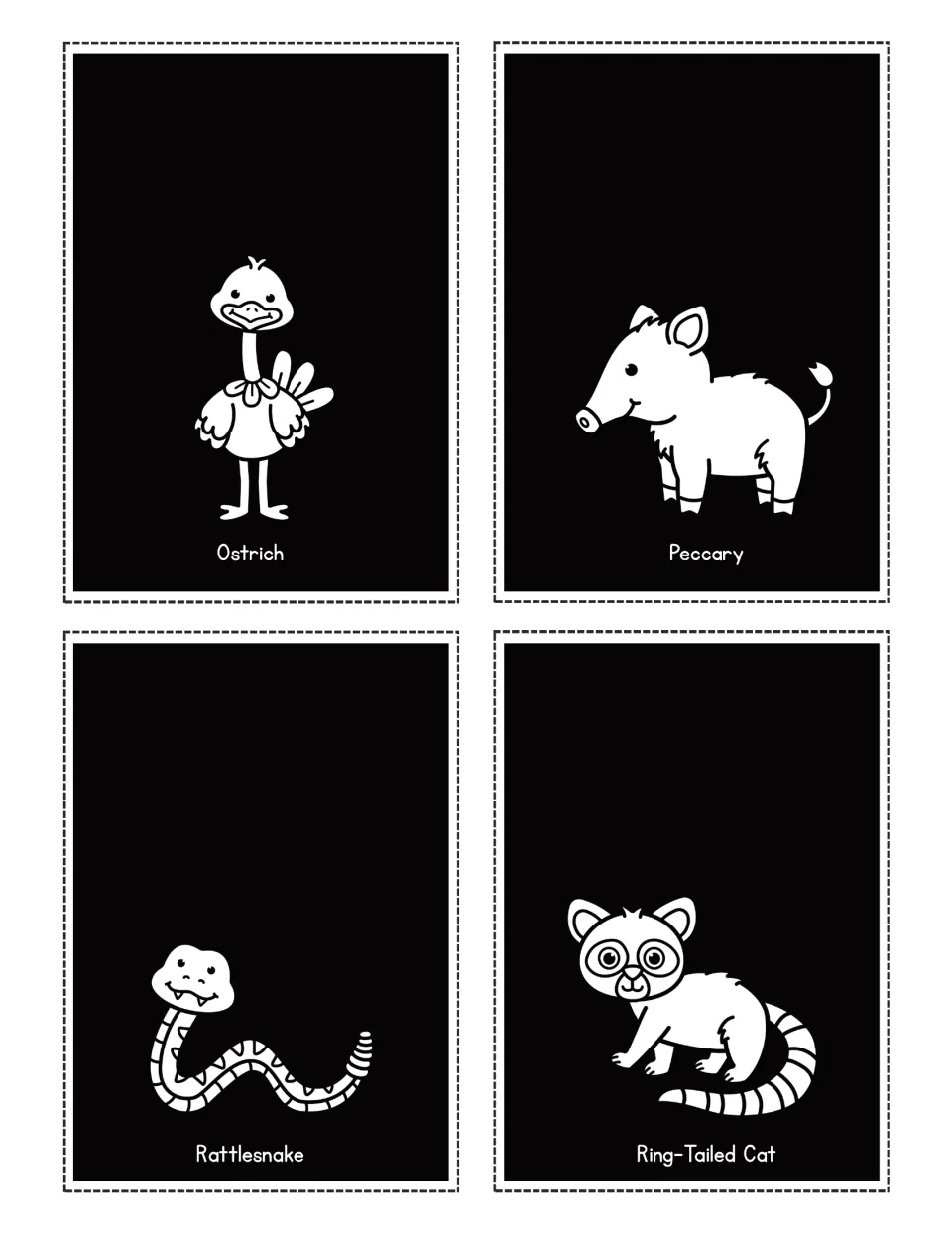 Desert animal flashlight cards labeled Ostrich, Peccary, Rattlesnake and Ring-Tailed Cat, each with a picture