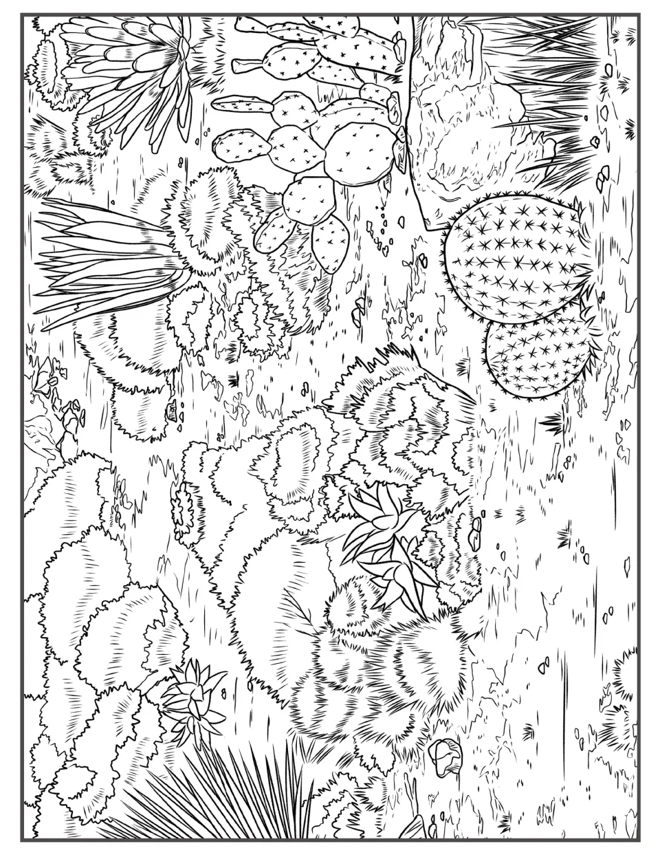 Close-up cactus garden to color: prickly pear pads, round barrel cacti, spiky agave, shrubs and flowering succulents