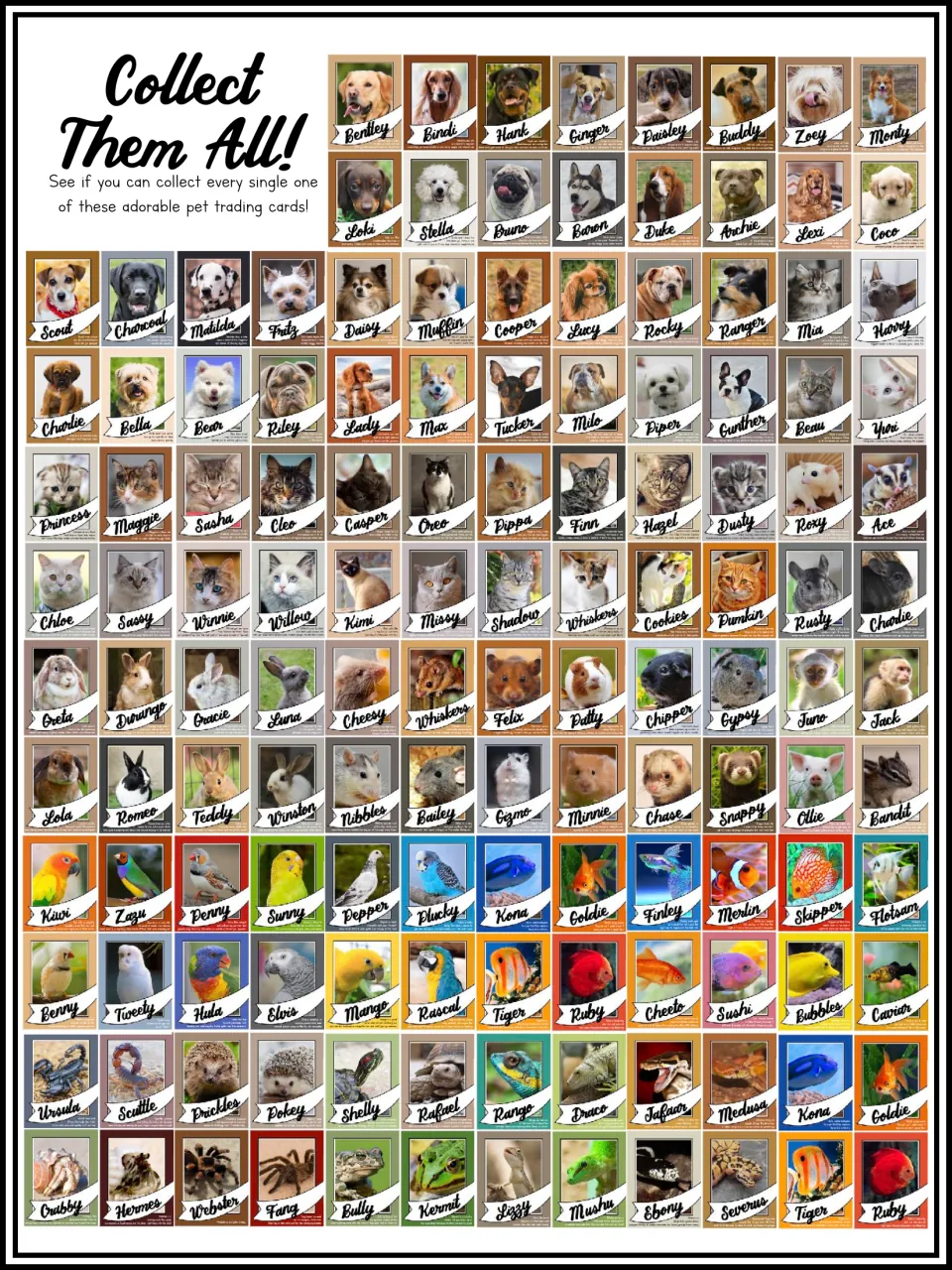 Collect Them All! chart of every pet card, from dogs and cats to fish, birds, lizards, hedgehogs, spiders and frogs