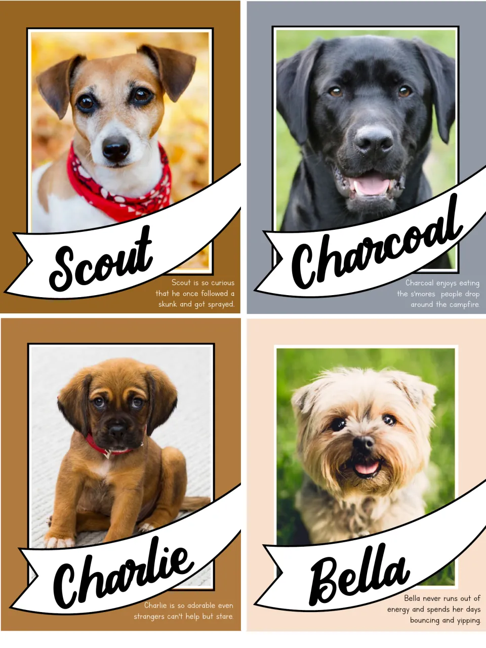 Four dog cards with photos and fun facts: Scout followed a skunk, Charcoal eats dropped s'mores, Charlie and Bella