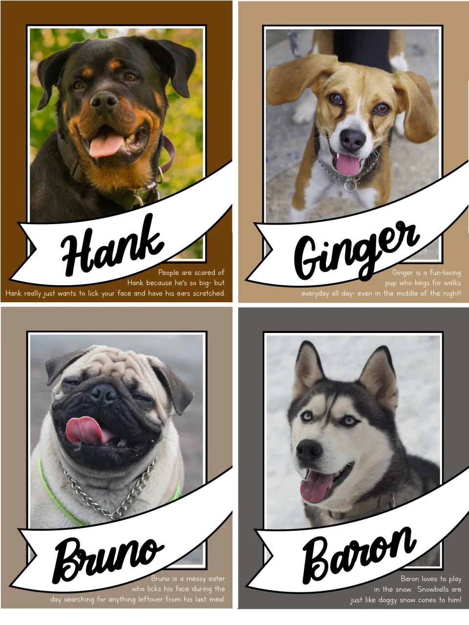 Dog cards for Hank, Ginger, Bruno and Baron, with bios on face licking, night walks, messy eating and snowball play