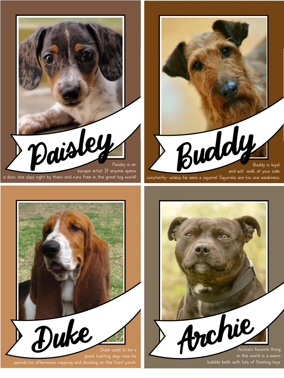 Pet cards for Paisley the escape artist, Buddy who chases squirrels, Duke the retired hunter and bath-loving Archie