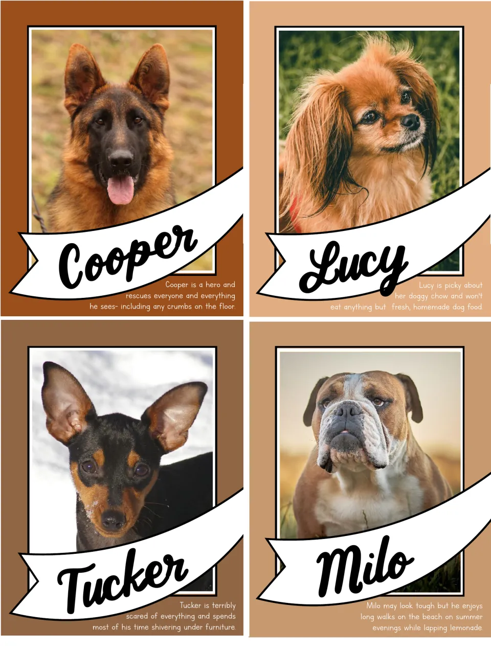 Cooper, Lucy, Tucker and Milo dog cards with photos and funny traits, like picky eating and shivering under furniture