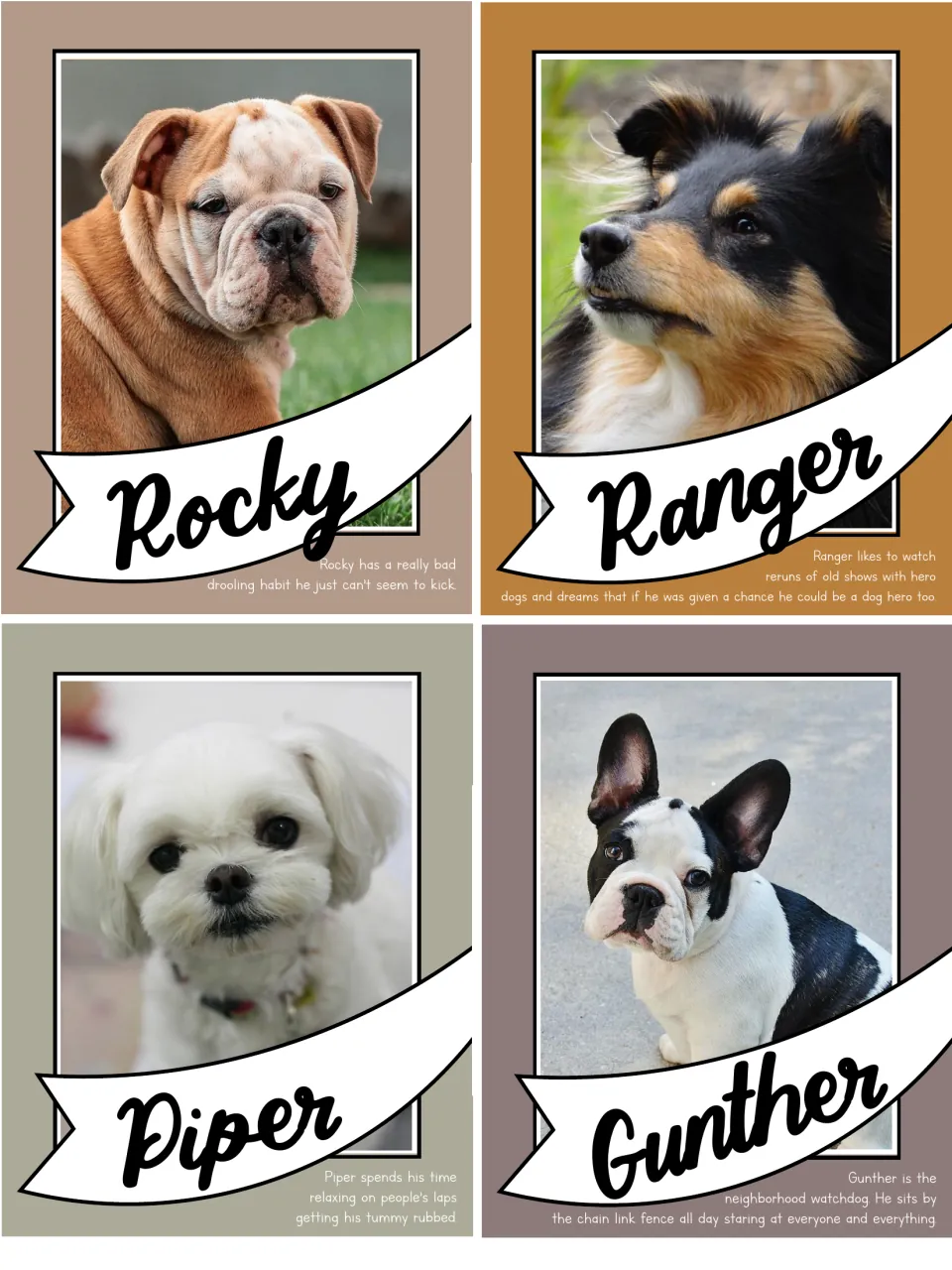 Rocky, Ranger, Piper and Gunther cards: a drooler, a would-be dog hero, a lap dog and a neighborhood watchdog