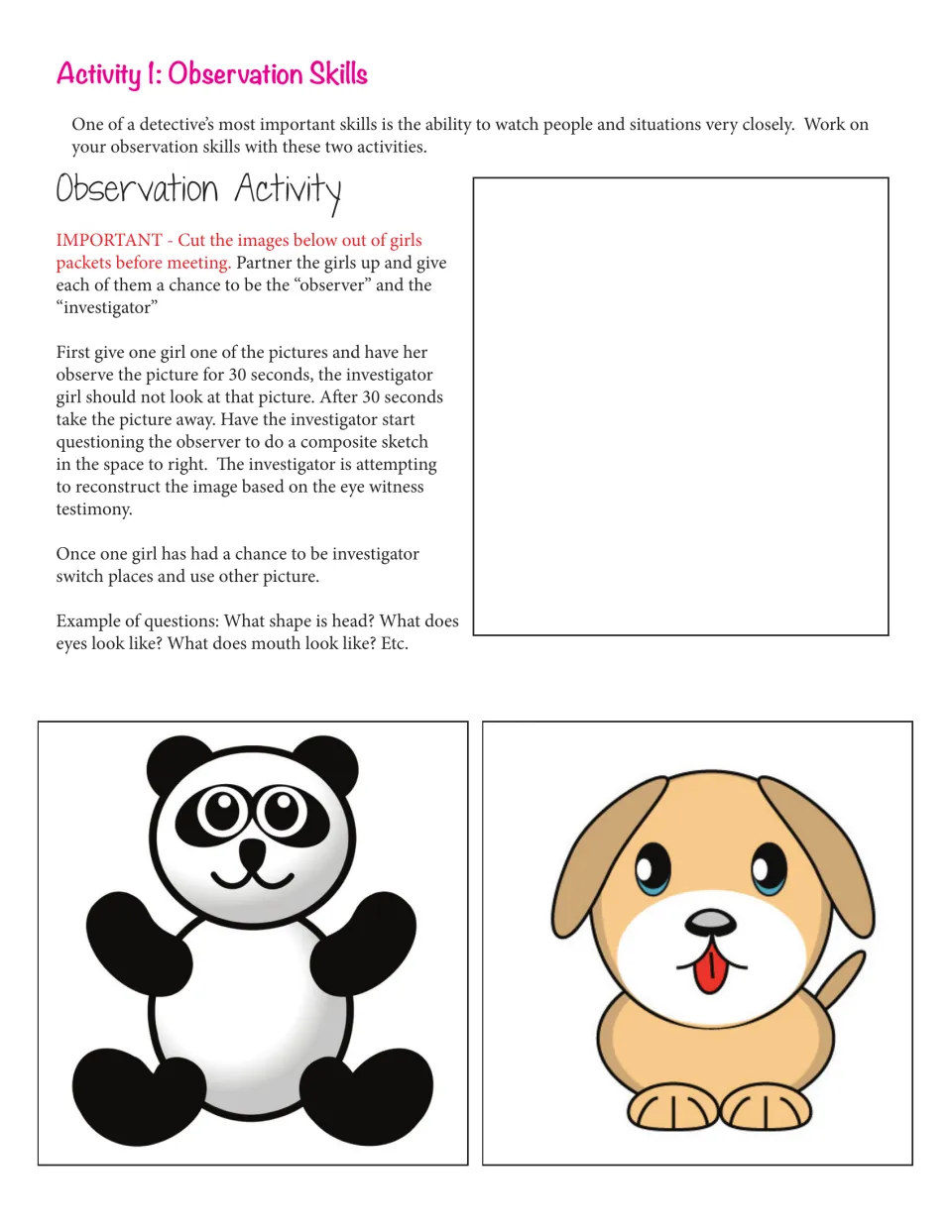 Observation skills: partners study a panda or puppy picture for 30 seconds, then sketch it from eyewitness questions