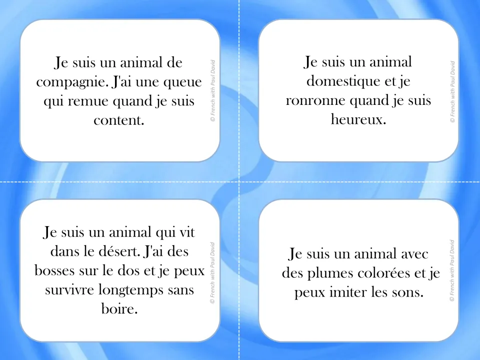 French animal riddle cards: students read clues about a dog, cat, camel and parrot and work out which animal it is