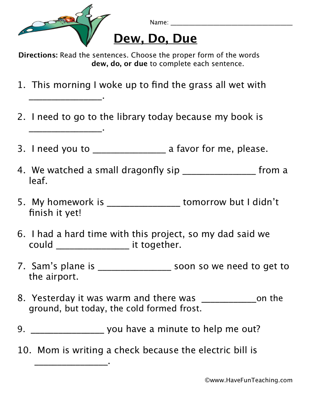 Dew, Do, Due Homophones Worksheet teaching resource preview