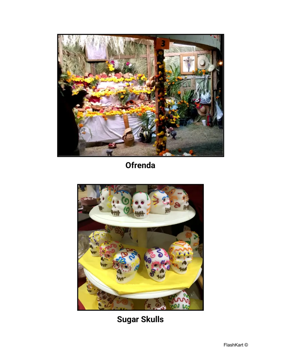 Ofrenda photo of an altar heaped with marigolds and bread, and a Sugar Skulls photo of decorated skulls on a tiered stand