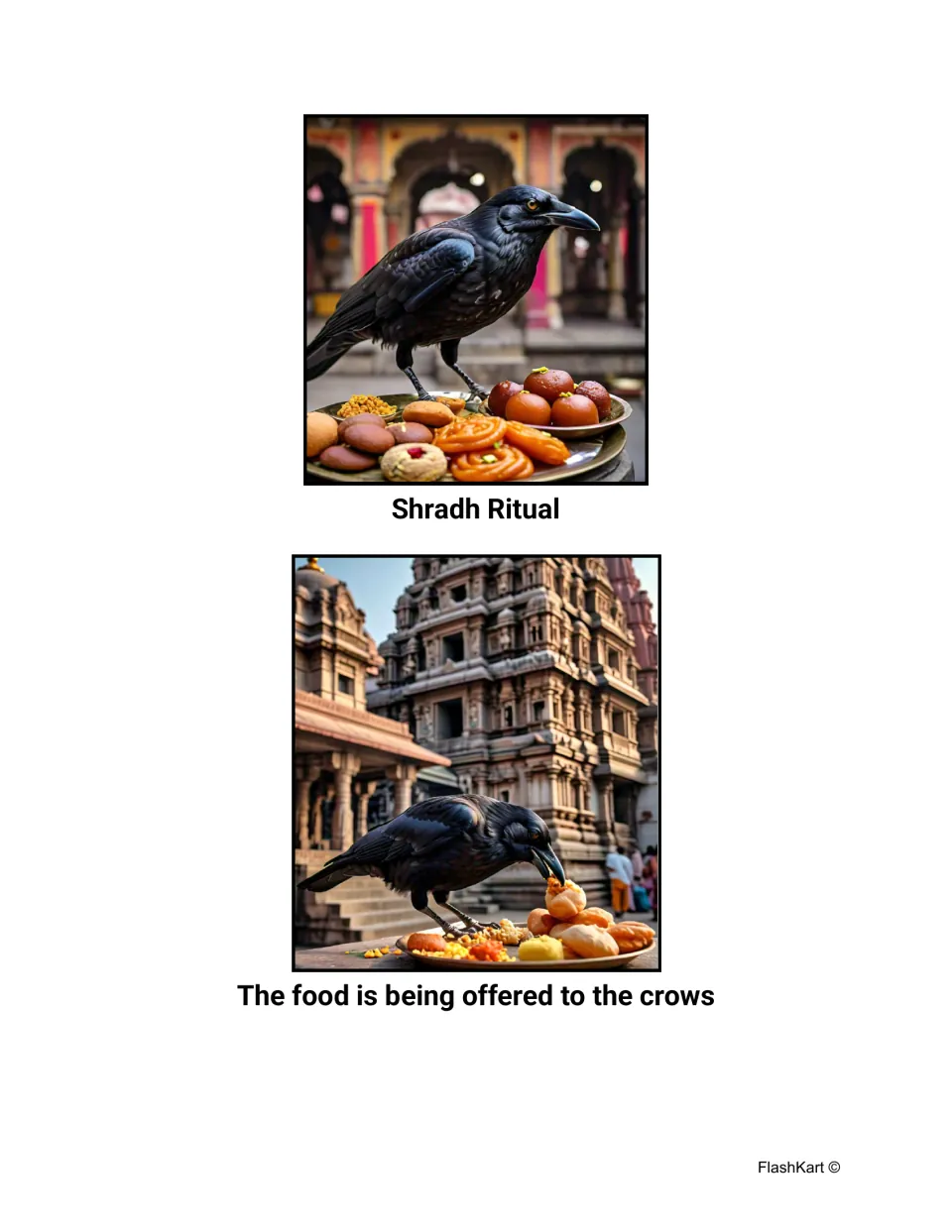 Shradh Ritual photos of crows beside plates of sweets and food at temples, labeled as food being offered to the crows