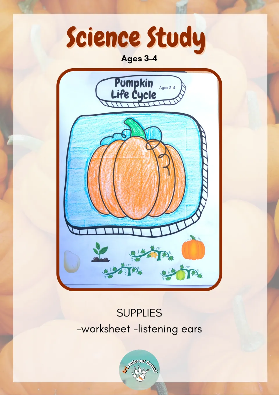 Science study for ages 3-4: colored pumpkin worksheet with seed, sprout, vine, flower and pumpkin pictures to discuss aloud