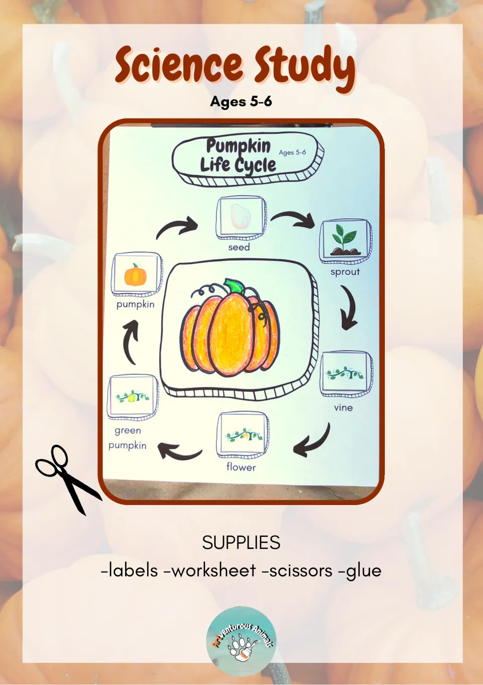 Ages 5-6 science study: students cut and glue labels for seed, sprout, vine, flower, green pumpkin and pumpkin in a cycle