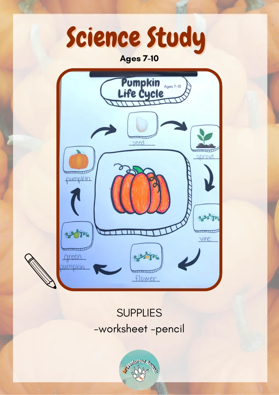 Ages 7-10 science study: students handwrite each life cycle stage name, seed through pumpkin, to label the cycle diagram