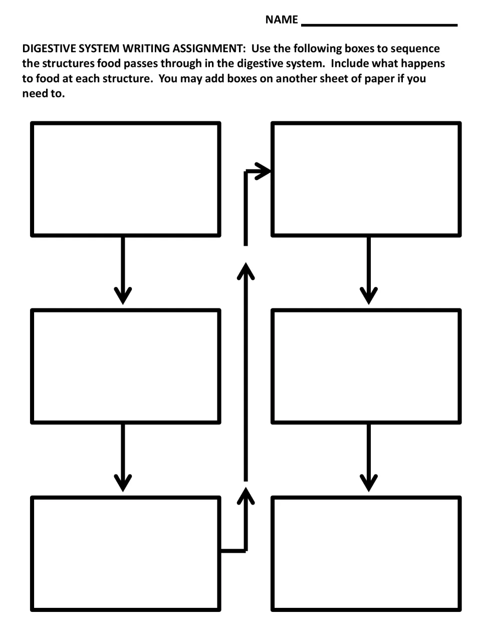 Digestive system writing assignment: students sequence the structures food passes through and note what happens at each