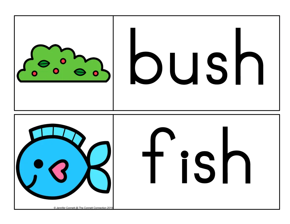 Ending sh digraph cards: bush paired with a green berry bush and fish paired with a blue cartoon fish, sh at word end