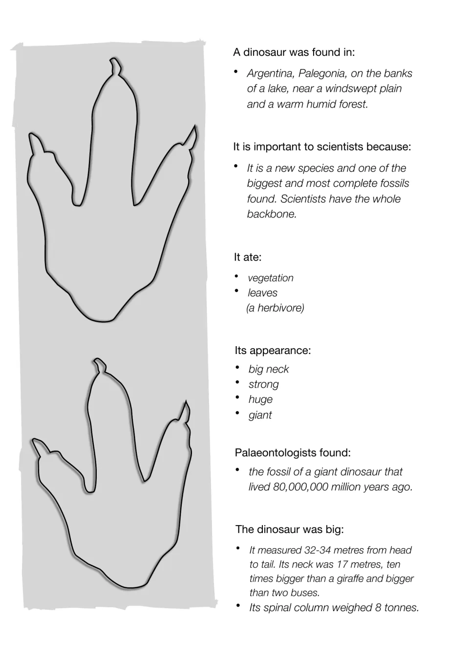 Dinosaur fact summary in note form: where it was found, why it matters, its diet, appearance, age and measurements