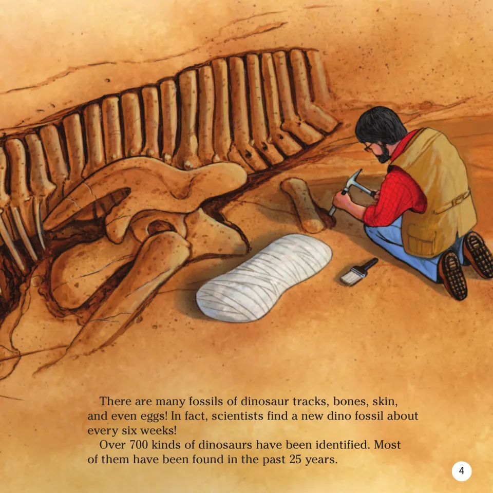 Book page 4: fossil reading continues with dinosaur tracks, bones, skin, eggs, and an excavation illustration