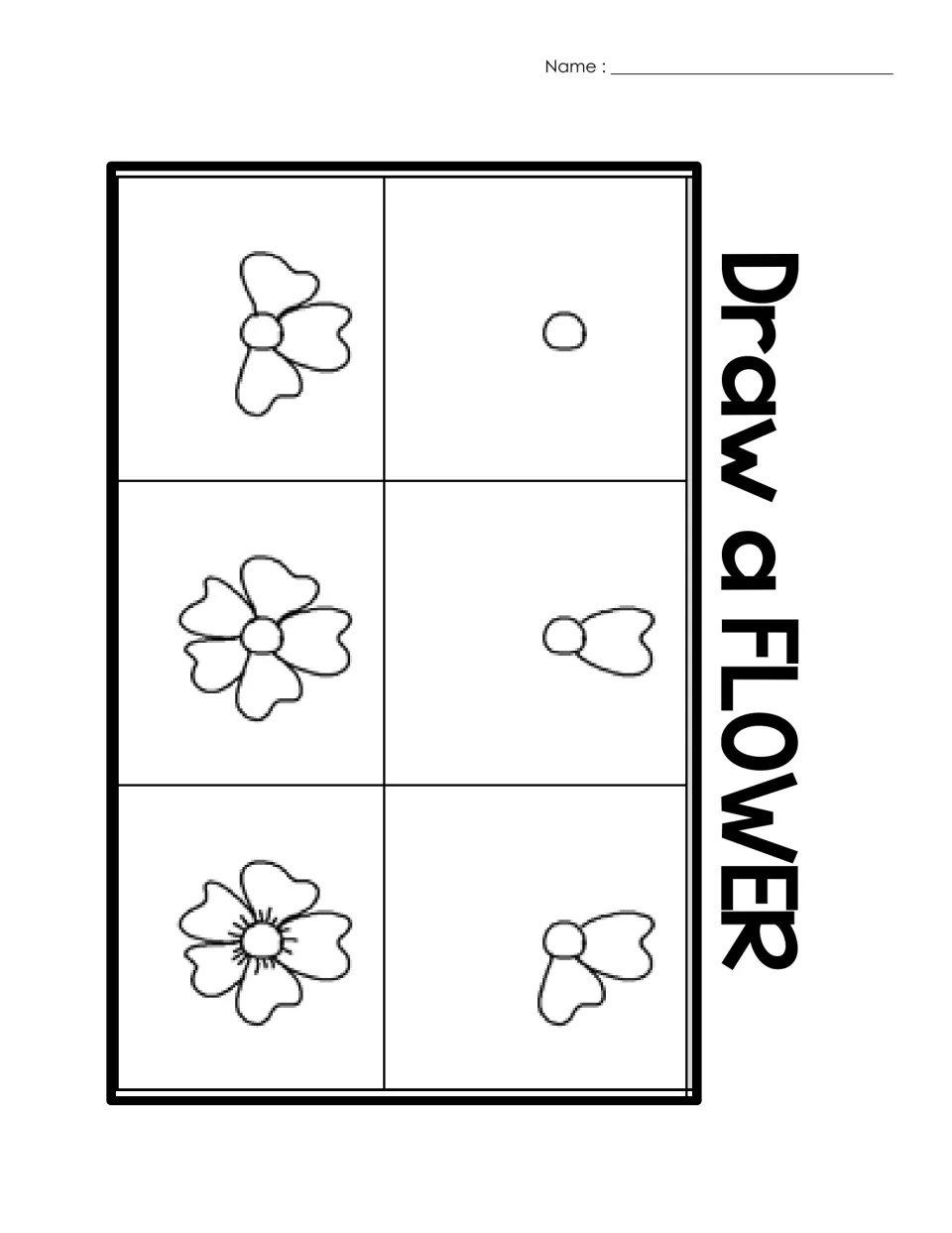 Teacher directed drawing guide for a flower, showing six steps from a center circle to a five-petal bloom