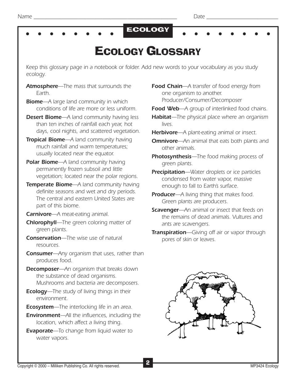 Ecology Glossary of 25 terms, from atmosphere, biome and carnivore to producer, scavenger and transpiration
