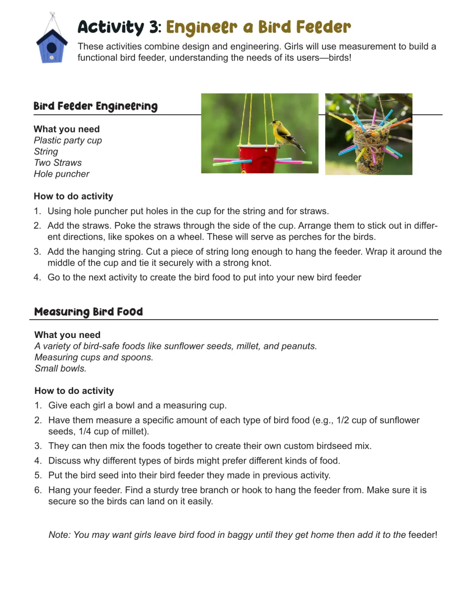 Activity 3 instructions: build a bird feeder using a cup, string, and straws, then measure and mix bird food