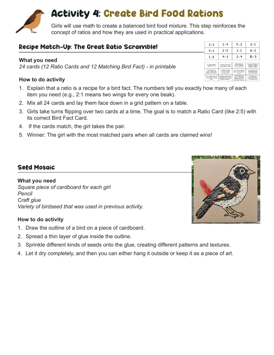 Activity 4 instructions: play a matching game using 12 ratio and 12 bird fact cards, then make a seed mosaic