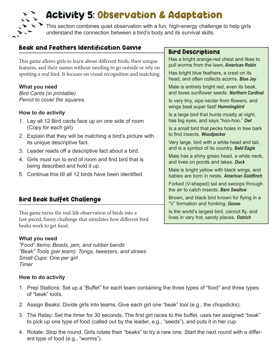 Activity 5 instructions: identify 12 birds from descriptions and use tools as beaks in a food-gathering relay