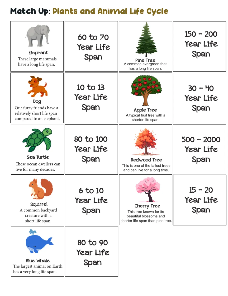 Lifespan matching printable: 18 cards pairing five animals and four trees with their lifespans in years