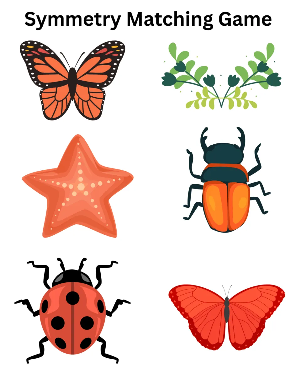 Symmetry Matching Game images: butterflies, a starfish, a beetle, a ladybug and a leaf spray to cut in half and match up