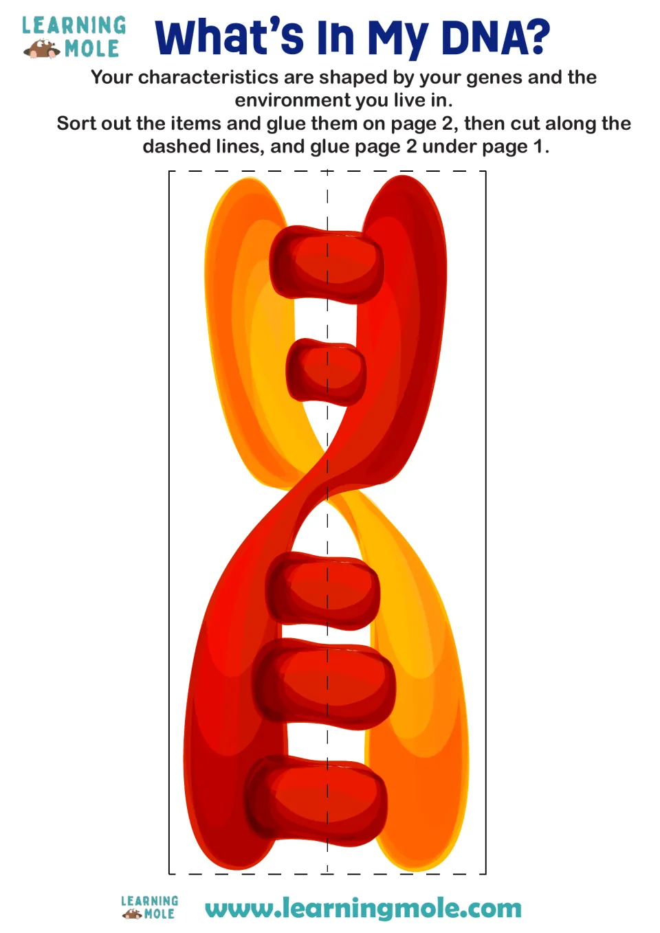 What's In My DNA? flap: students cut a DNA double helix along the dashed lines and glue it over the trait sort