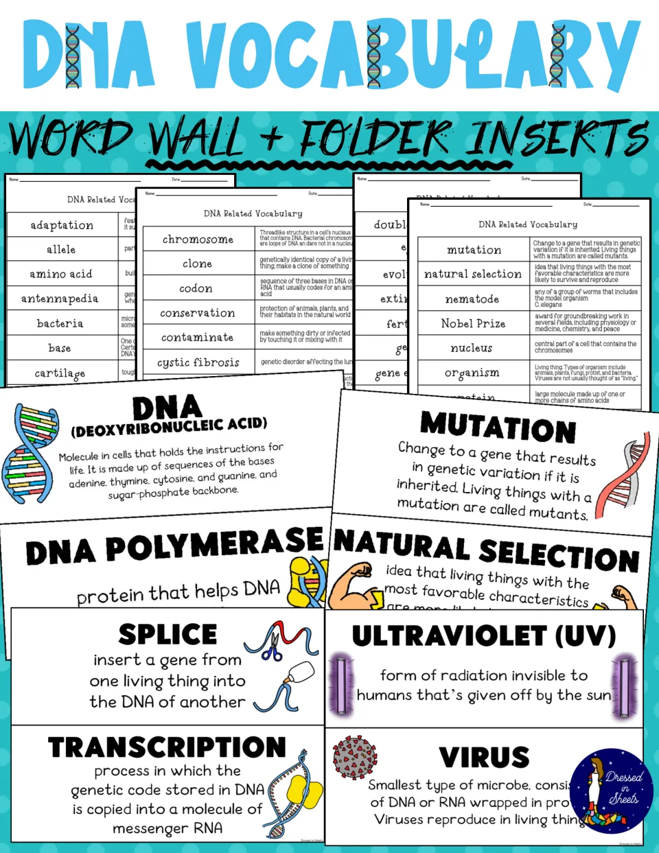 Cover showing DNA term cards such as mutation, splice and virus beside vocabulary tables for student folders