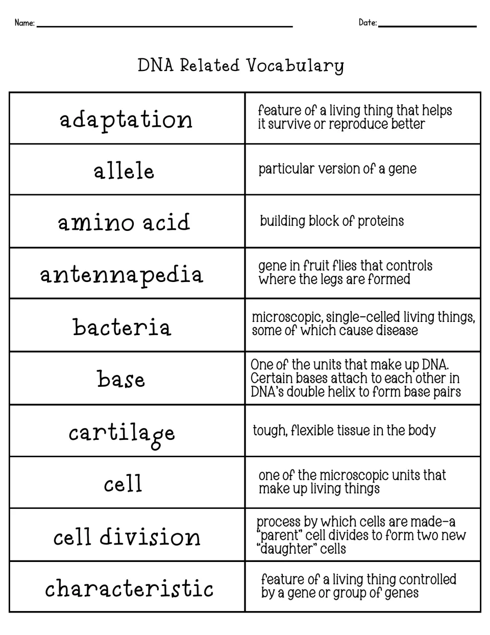 DNA Related Vocabulary sheet defining adaptation, allele, amino acid, antennapedia, bacteria, base, cell and characteristic