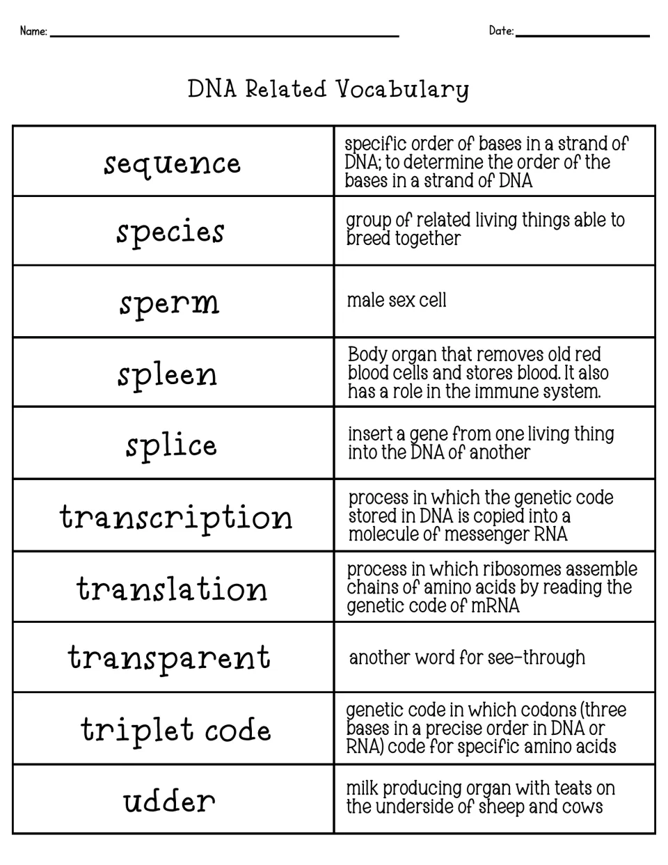 Vocabulary sheet for sequence, species, spleen, splice, transcription, translation, triplet code and udder with meanings