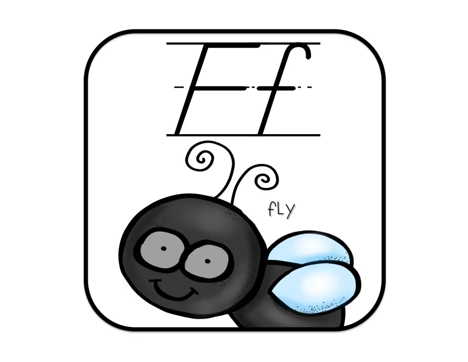 Alphabet poster for F, showing D'Nealian uppercase F and lowercase f with an illustrated fly labeled 'fly'