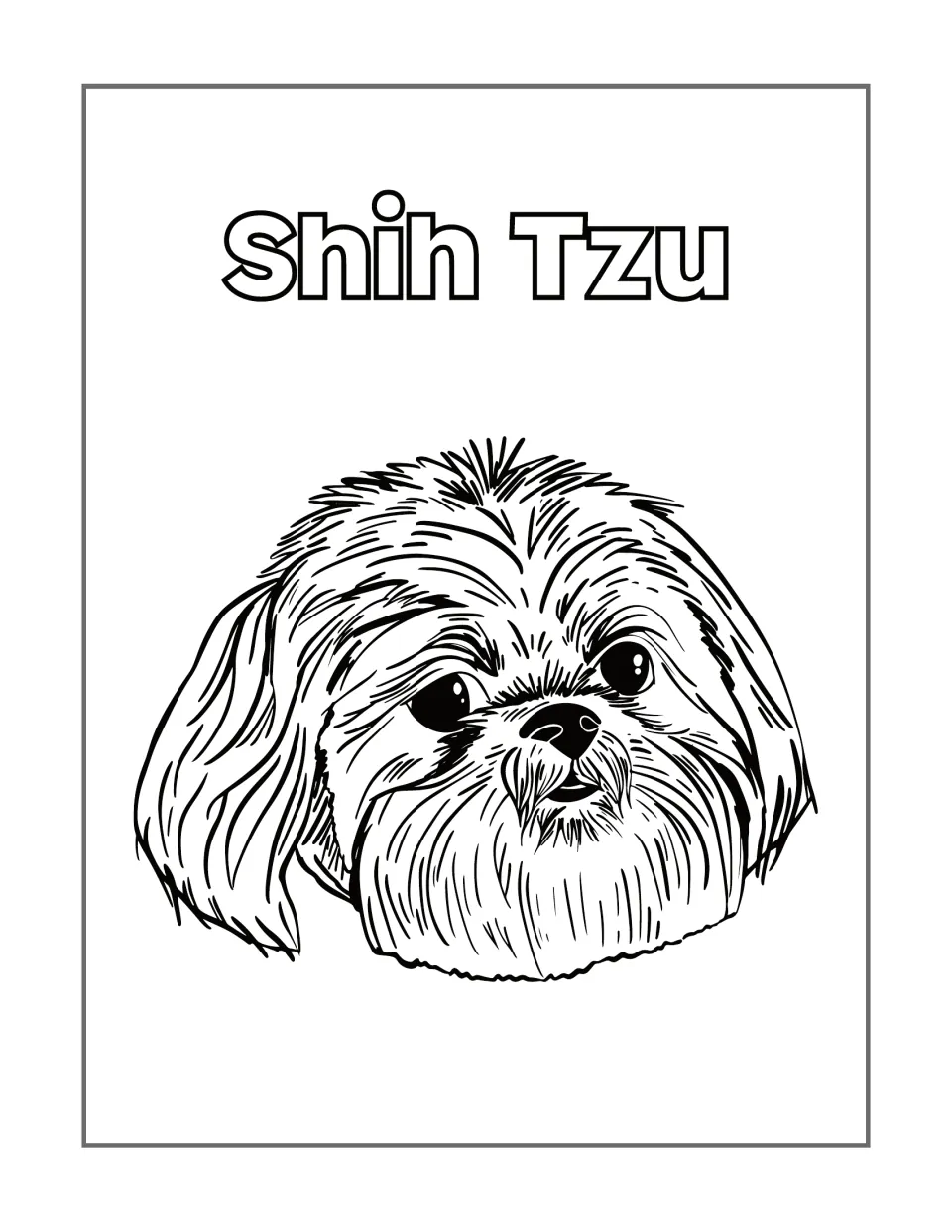 Shih Tzu coloring page featuring a close-up of the dog's face, with long fur around its eyes and ears.