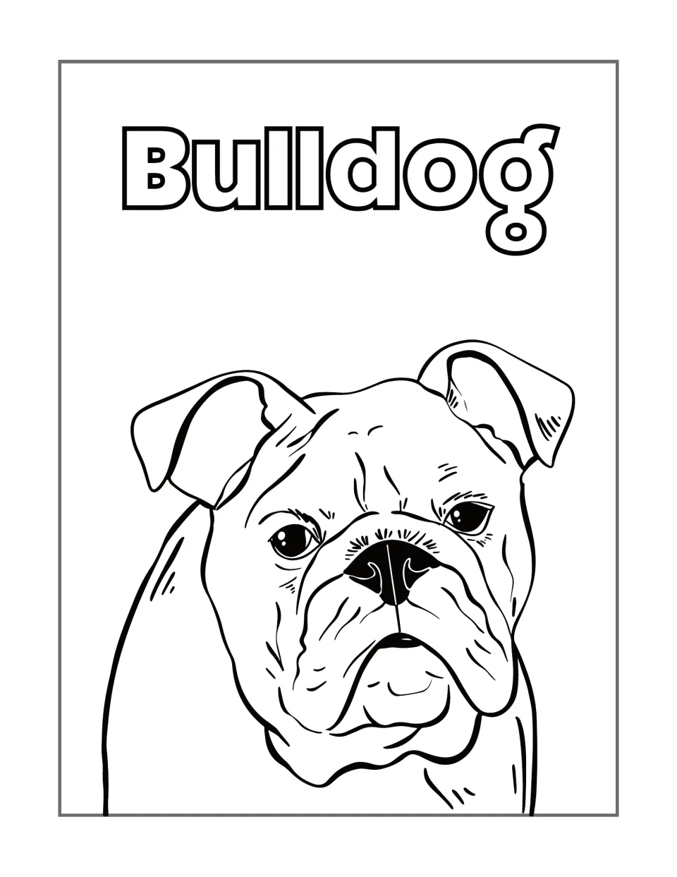 Bulldog coloring page featuring a close-up of the dog's head and chest, with folded ears and facial wrinkles.