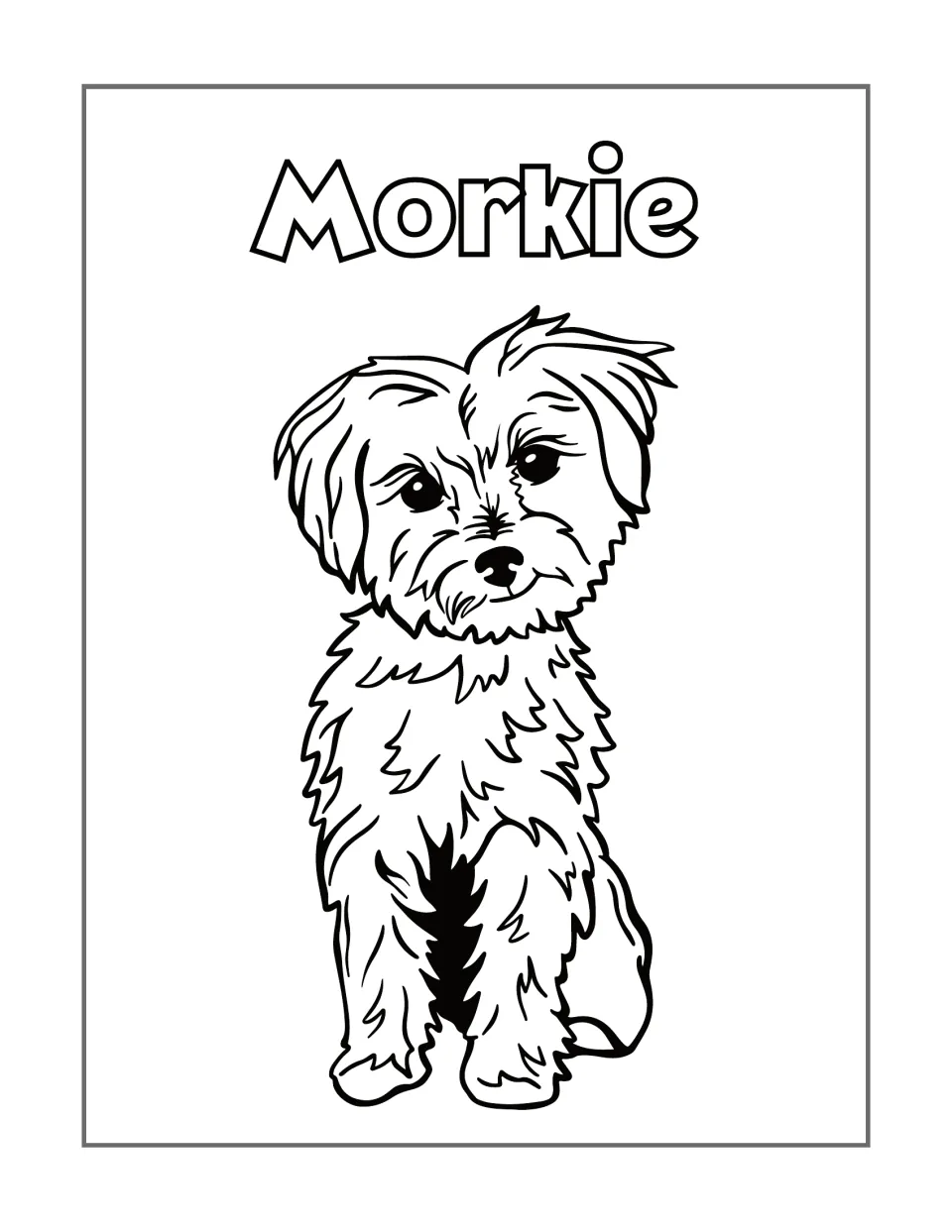 Morkie coloring page featuring a seated dog with shaggy fur, a tilted head, and a tail beside its body.