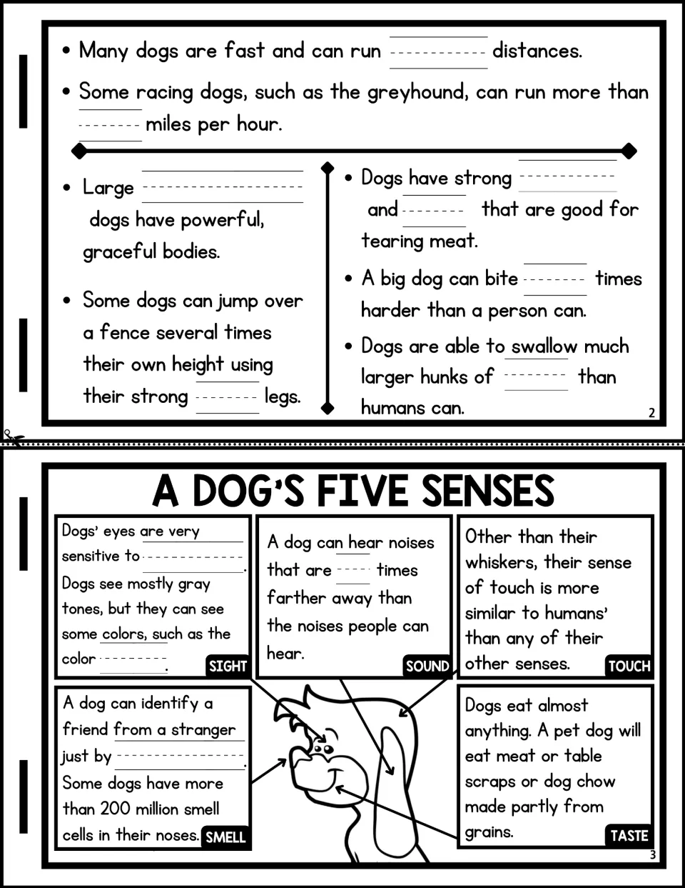 Flipbook pages 2 and 3: students fill in facts on dogs' speed, teeth and bite, then sight, sound, smell, touch, taste