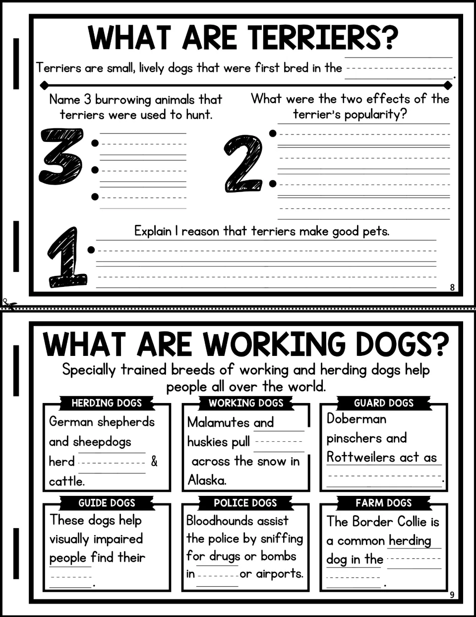 Flipbook pages 8 and 9: students answer terrier questions and fill in facts on herding, guard, guide, police, farm dogs