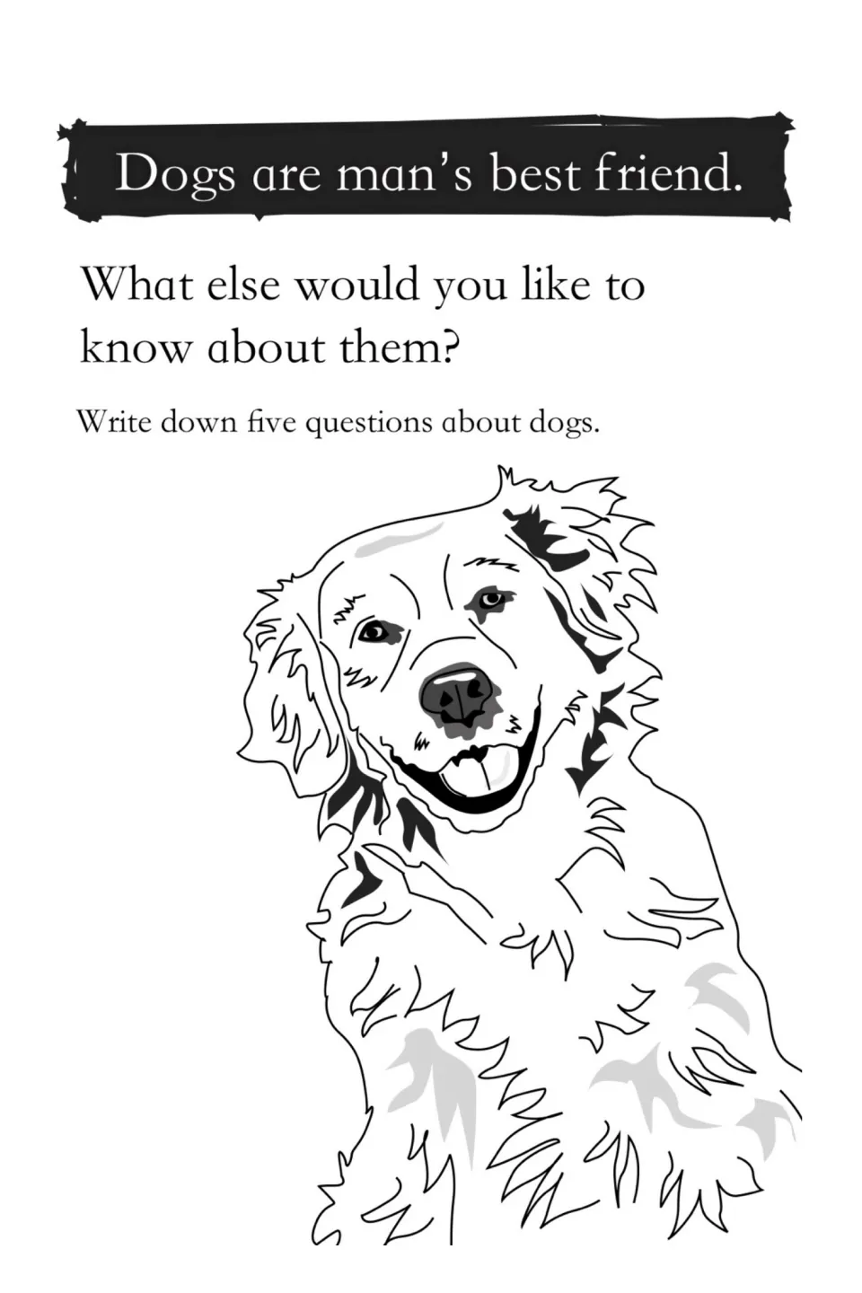 Dogs are man's best friend: students write five questions about what else they would like to know about dogs