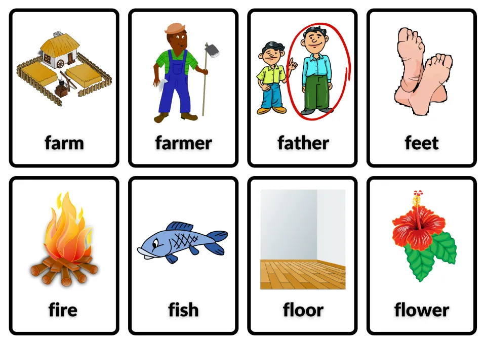 Noun flash cards matching words to pictures: farm, farmer, father, feet, fire, fish, floor and flower