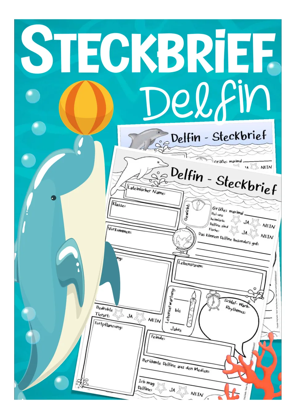 Steckbrief Delfin cover: a dolphin balancing a ball beside previews of the German dolphin fact-file sheets
