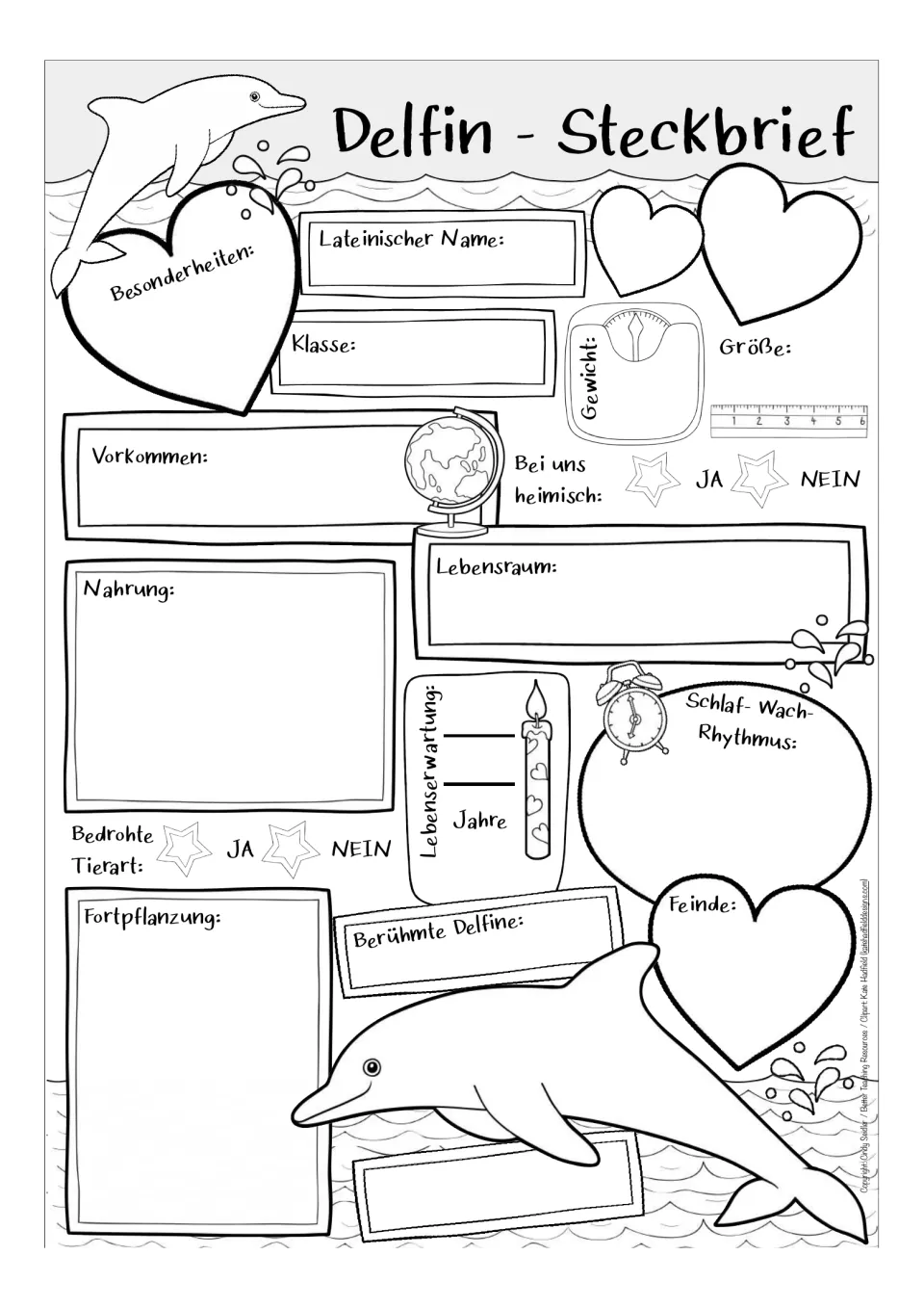 Alternate Delfin - Steckbrief version: students note Besonderheiten, Lateinischer Name, Berühmte Delfine and Feinde