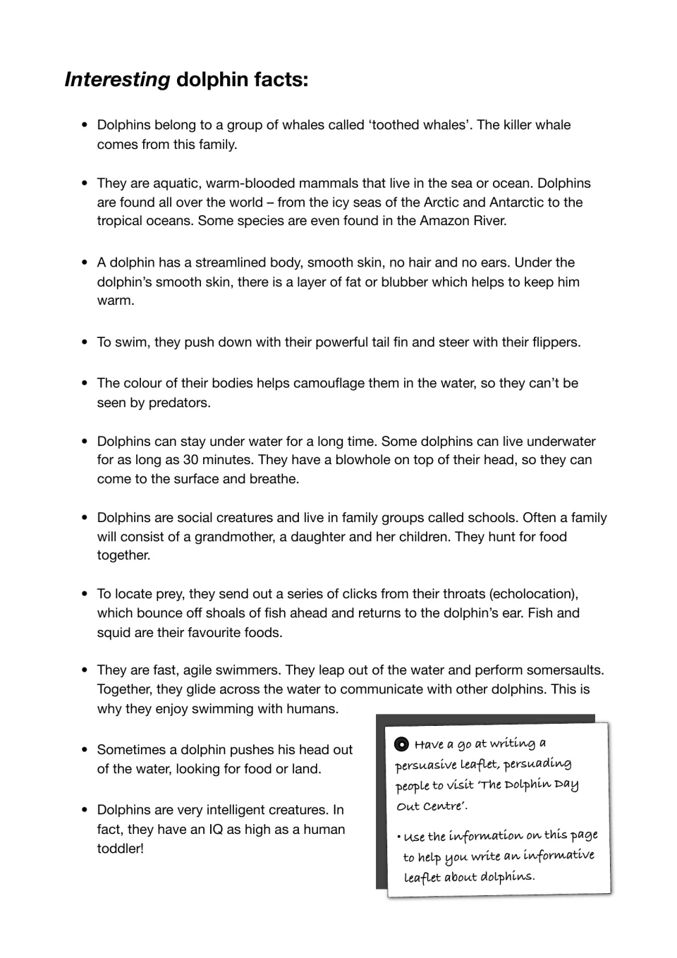 Interesting dolphin facts on echolocation, blowholes, schools and swimming, for writing an informative leaflet