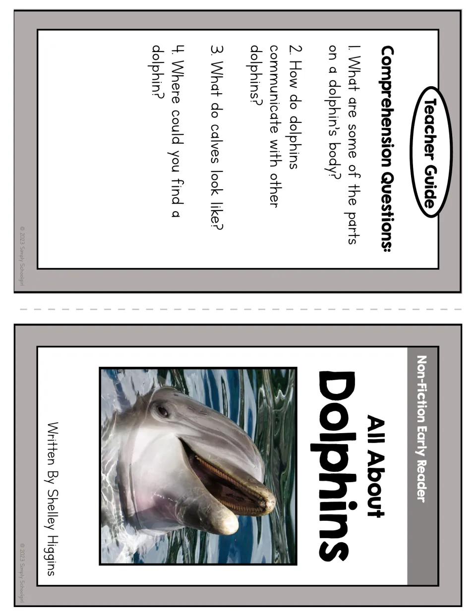 Dolphin booklet cover and teacher guide with four questions about body parts, communication, calves, and habitat