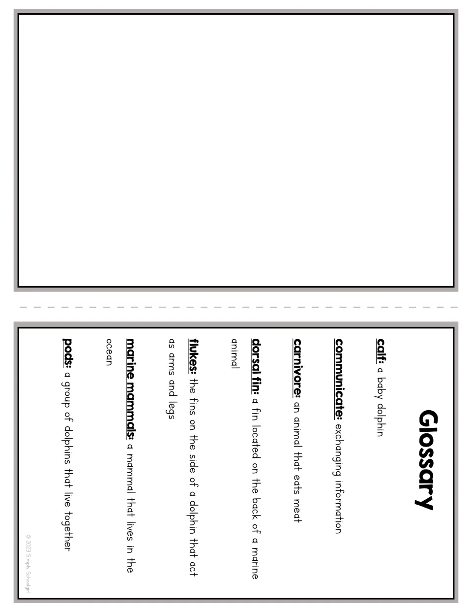 Dolphin booklet glossary defining calf, communicate, carnivore, dorsal fin, flukes, marine mammals, and pods